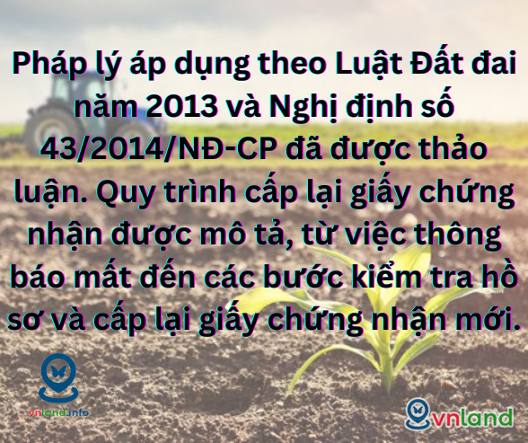 bao cao ve tinh hinh giay chung nhan su dung dat het han