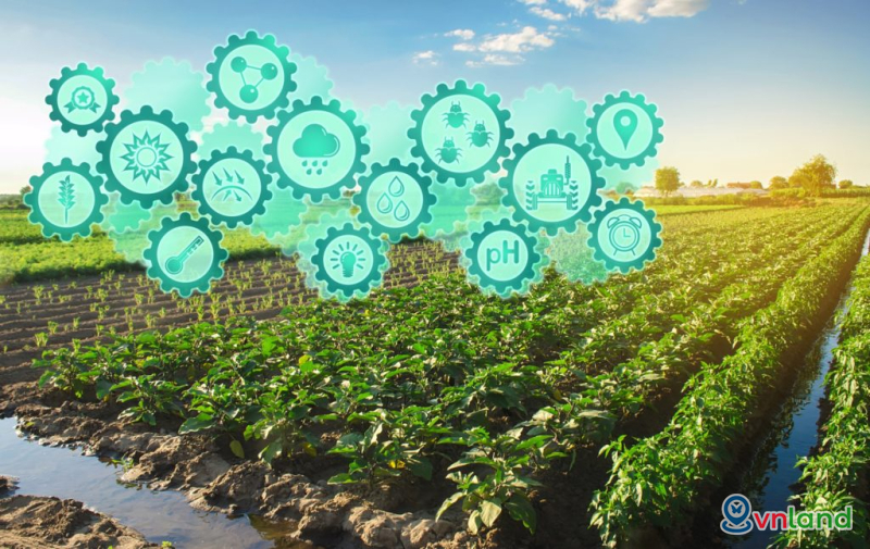 ndt mua bds nong nghiep tu phat mai nay da duoc tp  hcm go nut that lon