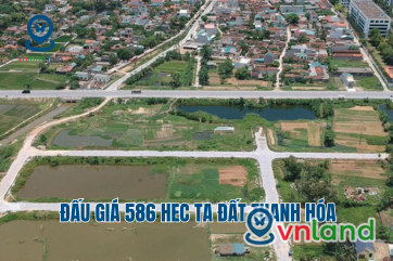 thanh hoa du kien dau gia hon 586 hecta vao nam 2024
